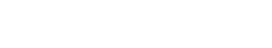 AAA+ Consulting